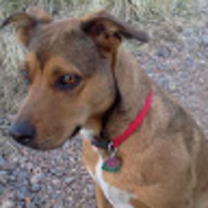 Meet your Posher, Jared